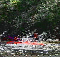Mossman Gorge Adventure Day - Accommodation Melbourne