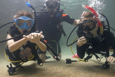 Scuba Kids- Padi Bubblemaker Course - Accommodation Melbourne 4