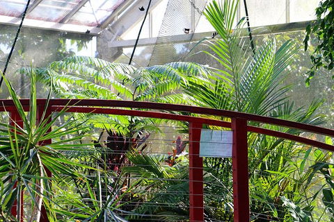 Australian Butterfly Sanctuary- Virtual Interactive Tour With Private Guide - Accommodation Melbourne 2
