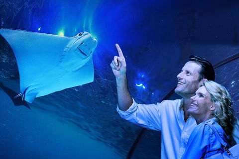 Cairns Aquarium Tour By Twilight With Drink And Appetiser - Accommodation Melbourne 0