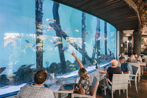 Cairns Aquarium Tour By Twilight With Drink And Appetiser - Accommodation Melbourne 1