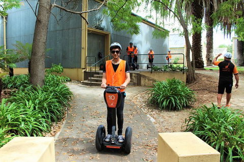 Segway Tour At Seppeltsfield Winery - Accommodation Melbourne 1