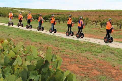 Segway Tour At Seppeltsfield Winery - Accommodation Melbourne 7