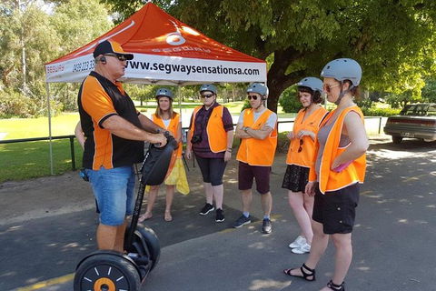 Segway Tour At Seppeltsfield Winery - Accommodation Melbourne 9