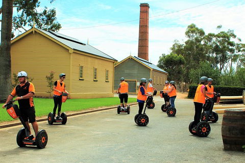 Segway Tour At Seppeltsfield Winery - Accommodation Melbourne 4