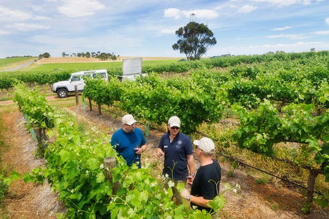 Two Hands Wines \'Single Vineyards Experience\' - Accommodation Melbourne 1