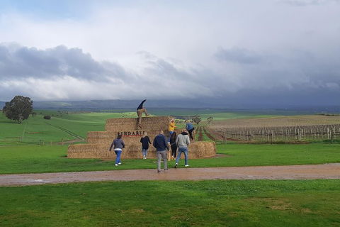 Private Wine Tour - Accommodation Melbourne 4