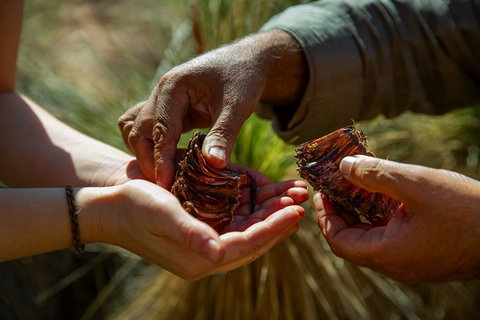 Half-Day Tour Into Ikara-Flinders Ranges National Park - Accommodation Melbourne 6