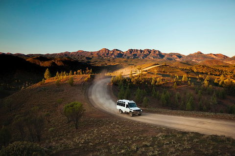 Half-Day Tour Into Ikara-Flinders Ranges National Park - Accommodation Melbourne 7