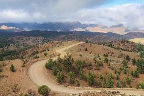 Half-Day Tour Into Ikara-Flinders Ranges National Park - Accommodation Melbourne 3