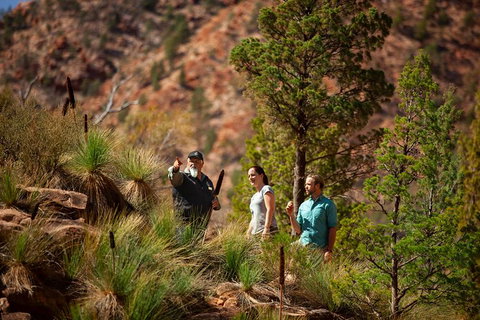 Half-Day Tour Into Ikara-Flinders Ranges National Park - Accommodation Melbourne 4