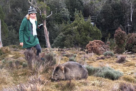 Shore Excursion - Cradle Mountain Day Tour From Burnie - Accommodation Melbourne 1
