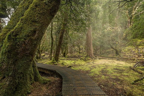 Shore Excursion - Cradle Mountain Day Tour From Burnie - Accommodation Melbourne 3
