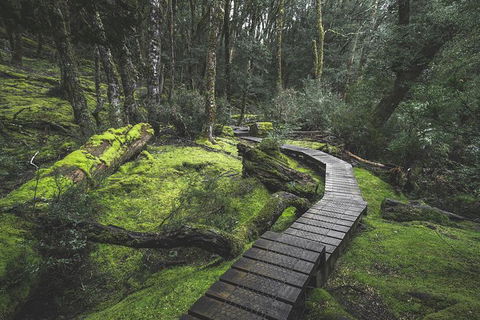 Shore Excursion - Cradle Mountain Day Tour From Burnie - Accommodation Melbourne 2