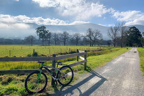 Aqueduct And Rail Trail Self-Guided Bike Tour In Warburton - Accommodation Melbourne 5