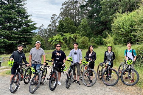Aqueduct And Rail Trail Self-Guided Bike Tour In Warburton - Accommodation Melbourne 0