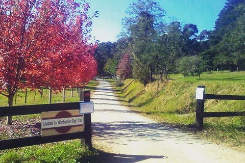 Aqueduct And Rail Trail Self-Guided Bike Tour In Warburton - Accommodation Melbourne 4