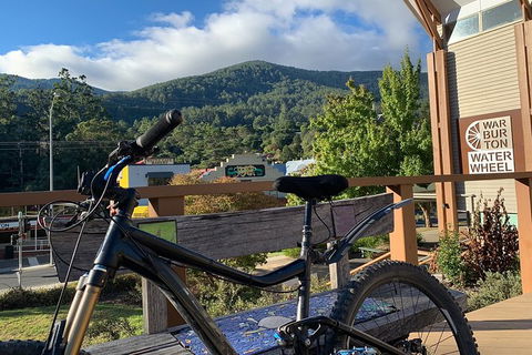 Aqueduct And Rail Trail Self-Guided Bike Tour In Warburton - Accommodation Melbourne 2