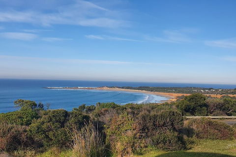 Private Great Ocean Road And Chocolaterie Tour With Tasting - Accommodation Melbourne 5