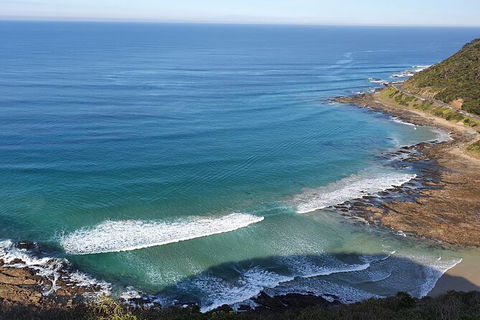 Private Great Ocean Road And Chocolaterie Tour With Tasting - Accommodation Melbourne 7