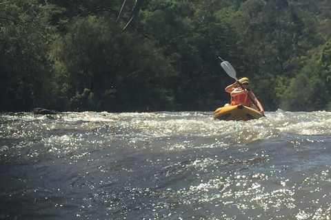Yarra River Half-Day Rafting Experience - Accommodation Melbourne 5