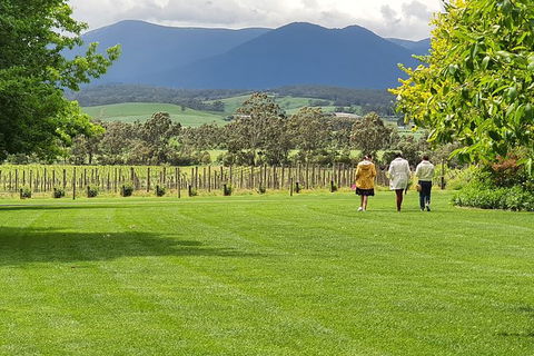 Yarra Valley Wine Tasting Day Tour From Melbourne - Accommodation Melbourne 6