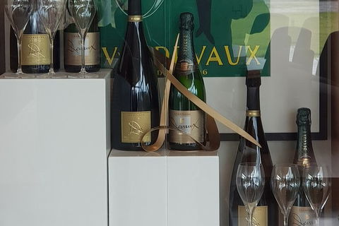 Yarra Valley Wine Tasting Day Tour From Melbourne - Accommodation Melbourne 2