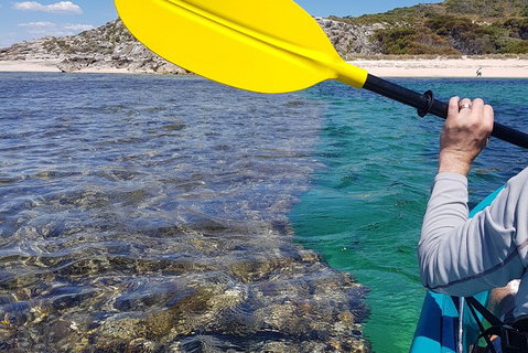 Rottnest Glass Bottom Kayaking Tour - Accommodation Melbourne 3