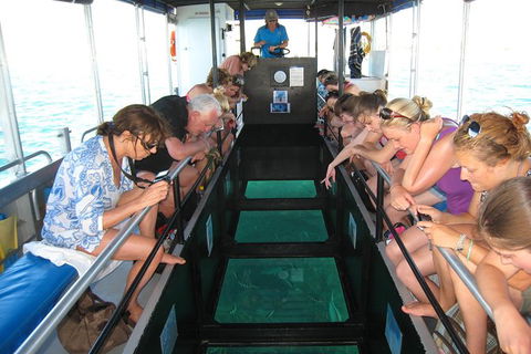 Coral Bay 1-Hour Coral Viewing - Accommodation Melbourne 3