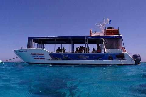 Coral Bay 1-Hour Coral Viewing - Accommodation Melbourne 1