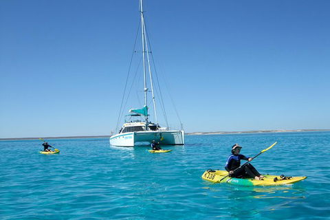 5 Night Ningaloo Reef Ningaloo Escape From Coral Bay - Accommodation Melbourne 0