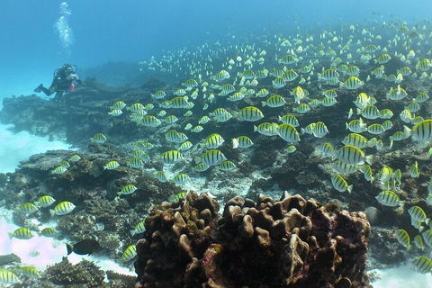 5 Night Ningaloo Reef Ningaloo Escape From Coral Bay - Accommodation Melbourne 5