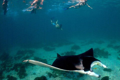 5 Night Ningaloo Reef Ningaloo Escape From Coral Bay - Accommodation Melbourne 1