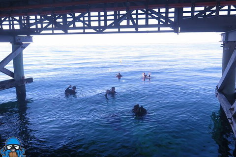 PADI Open Water Course - Accommodation Melbourne 3