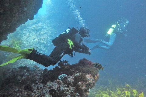 PADI Open Water Course - Accommodation Melbourne 2