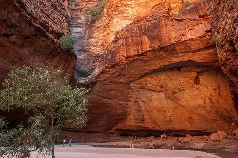 Bungles Day Trek Extended (with Echidna Chasm) - Accommodation Melbourne 0