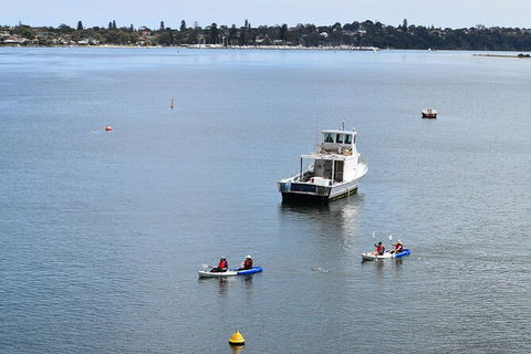Cliffs And Caves Kayak Tour In Swan River - Accommodation Melbourne 5