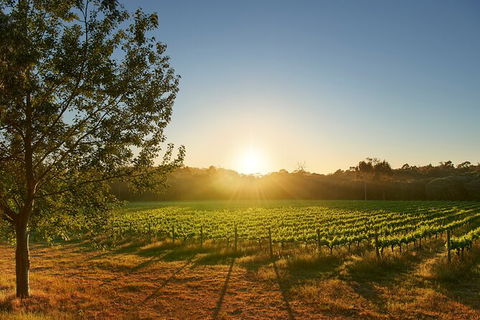 Private Barrel Hall Wine Tasting In The Margaret River Region - Accommodation Melbourne 3