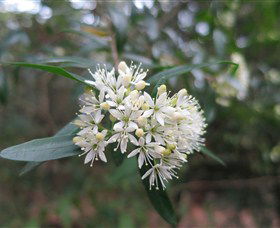 Brundee NSW Accommodation Melbourne
