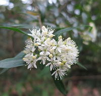 Booderee National Park - Accommodation Melbourne