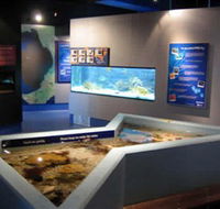 Marine and Freshwater Discovery Centre - Accommodation Melbourne