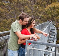 Valley of the Giants Tree Top Walk - Accommodation Melbourne