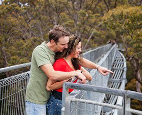 Valley Of The Giants Tree Top Walk - Accommodation Melbourne 0