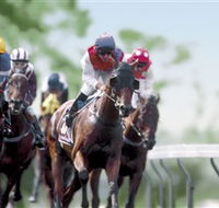 Colac Turf Club - Accommodation Melbourne