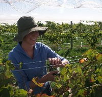 Kingsdale Wines - Accommodation Melbourne