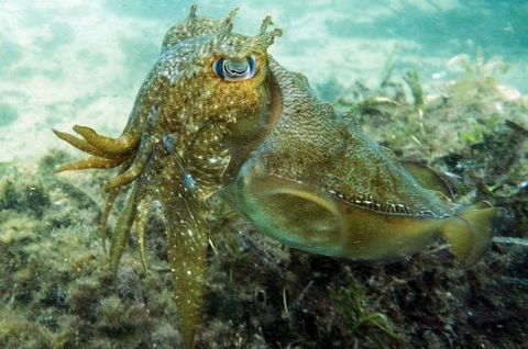Busselton Jetty & Underwater Observatory Tour - Accommodation Melbourne 4