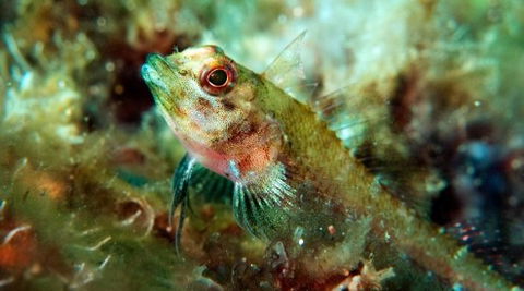 Busselton Jetty & Underwater Observatory Tour - Accommodation Melbourne 7