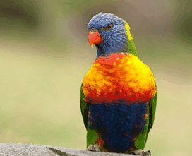 Booderee National Park - Accommodation Melbourne 1
