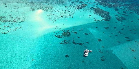 Ocean Free & Ocean Freedom - Cairns Premier Reef And Island Tours - Accommodation Melbourne 3