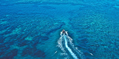 Ocean Free & Ocean Freedom - Cairns Premier Reef And Island Tours - Accommodation Melbourne 4